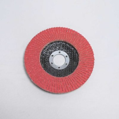 EAZYCUT Flap Discs