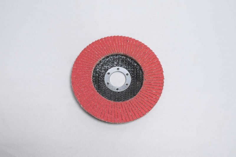 EAZYCUT Flap Discs